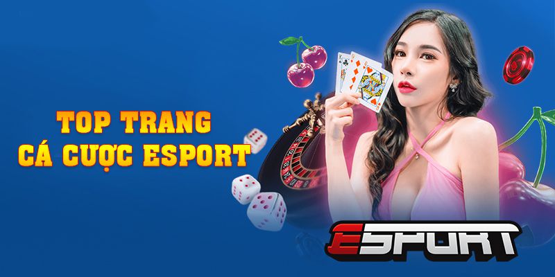 Top Trang Cá Cược Esport Và 3 Cái Tên Hàng Đầu