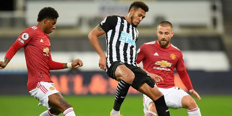 Dự đoán tỷ lệ chiến thắng trước trận đấu giữa Newcastle vs MU