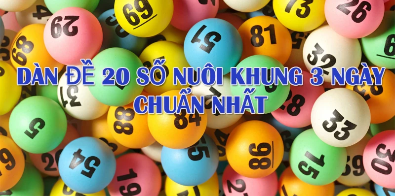 Lưu ý khi thực hiện cách nuôi dàn đề 20 số khung 3 ngày